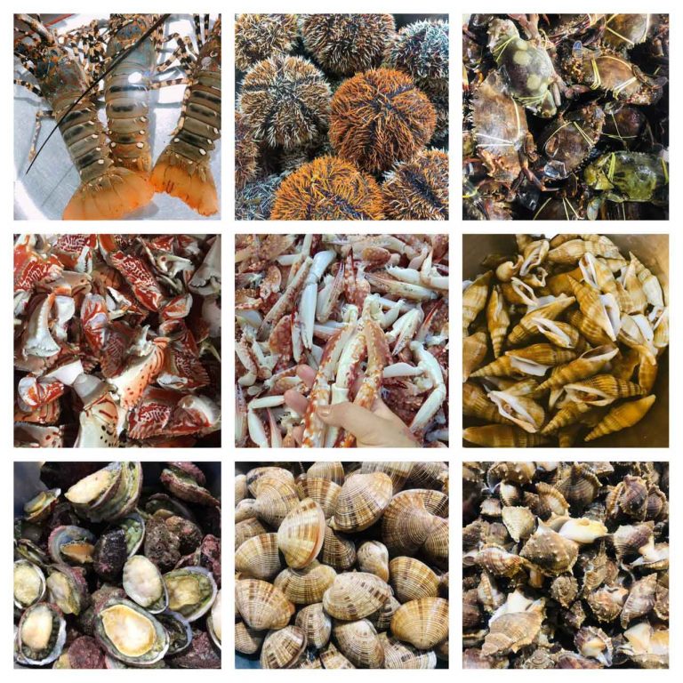 Mực Trứng Nướng Muối Ớt